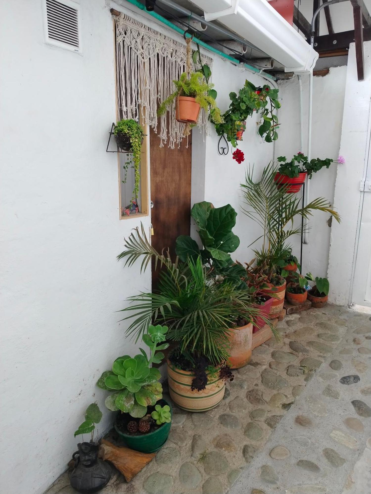 Apartaestudios La Baranda Salento Extérieur photo